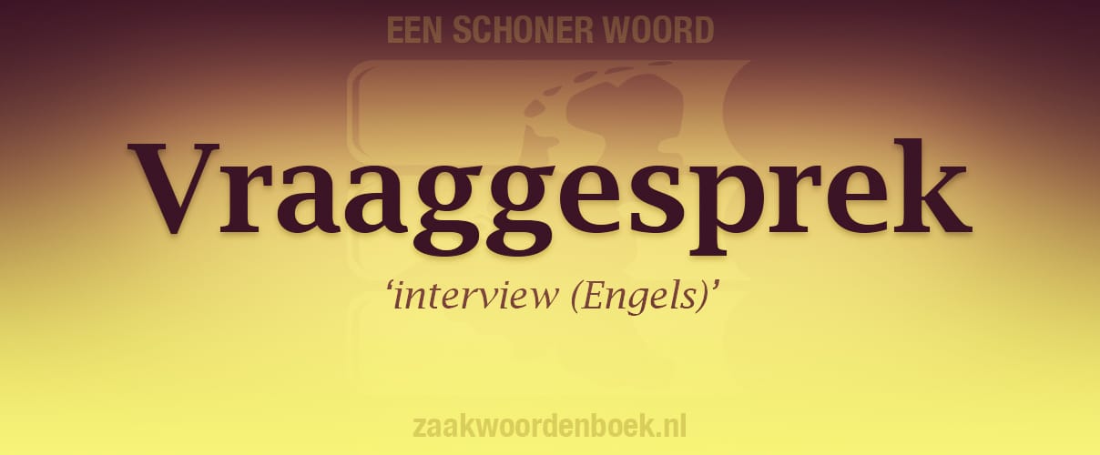 Nieuwsbrief der Lage Landen 20: Vraaggesprek